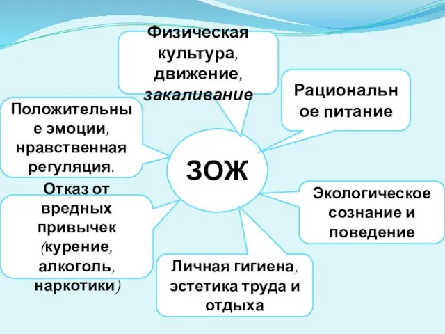 ЗОЖ Рациональное питание Экологическое сознание и поведение Личная гигиена, эстетика труда и