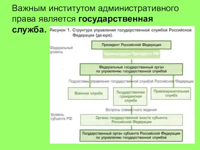 Важным институтом административного права является государственная служба.