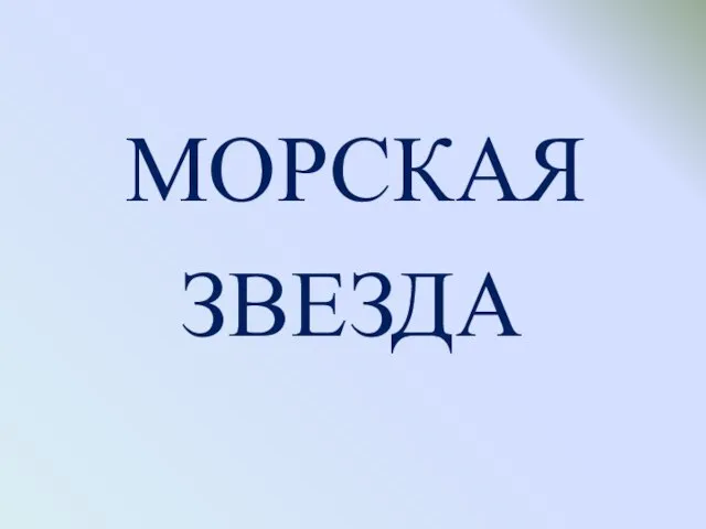 МОРСКАЯ ЗВЕЗДА