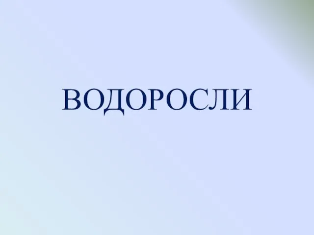 ВОДОРОСЛИ