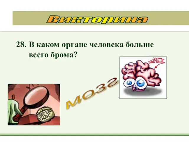 28. В каком органе человека больше всего брома? Викторина мозг