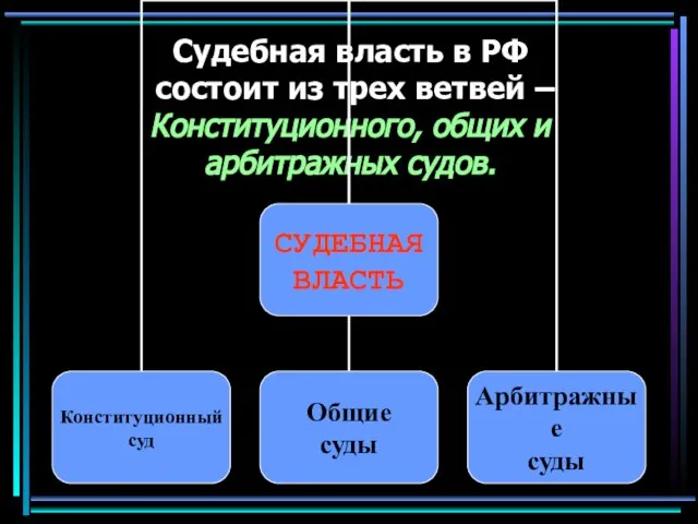 Судебная власть в РФ состоит из трех ветвей – Конституционного, общих и арбитражных судов.