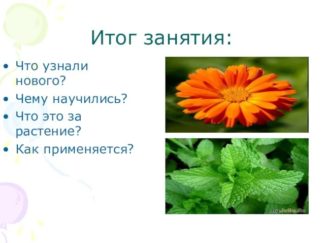 Итог занятия: Что узнали нового? Чему научились? Что это за растение? Как применяется?