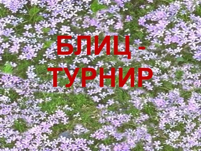 БЛИЦ - ТУРНИР