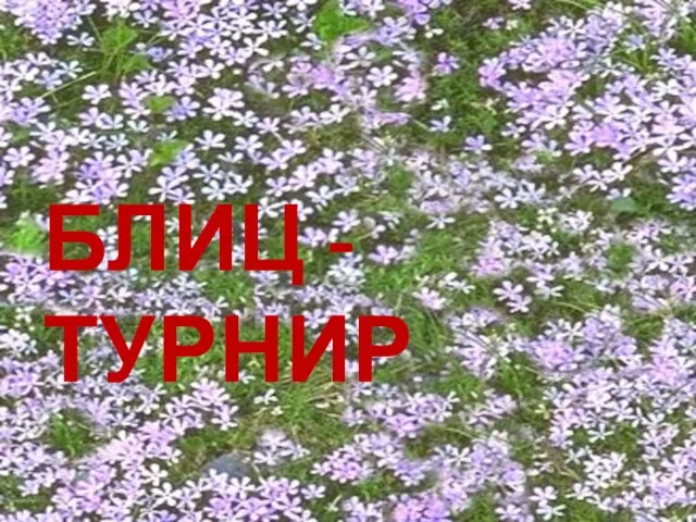 БЛИЦ - ТУРНИР