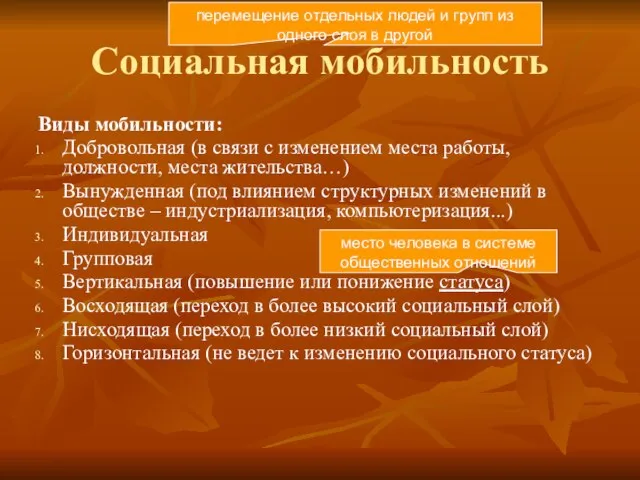 Социальная мобильность Виды мобильности: Добровольная (в связи с изменением места работы, должности,