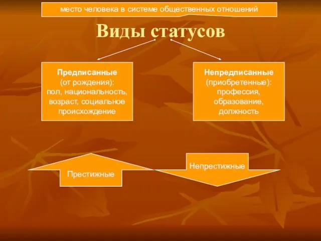 Виды статусов место человека в системе общественных отношений Предписанные (от рождения): пол,