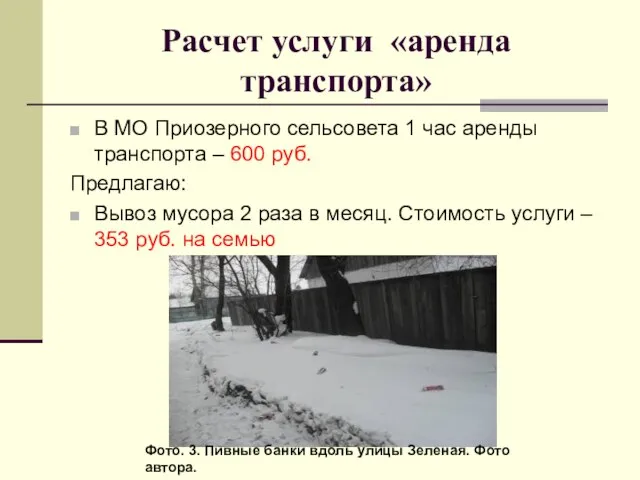 Фото. 3. Пивные банки вдоль улицы Зеленая. Фото автора. Расчет услуги «аренда