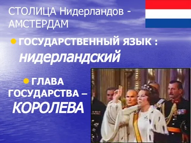 СТОЛИЦА Нидерландов - АМСТЕРДАМ ГОСУДАРСТВЕННЫЙ ЯЗЫК : нидерландский ГЛАВА ГОСУДАРСТВА – КОРОЛЕВА