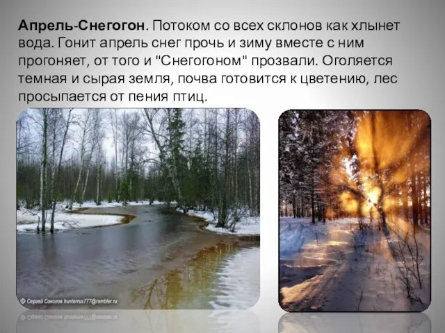 Апрель-Снегогон. Потоком со всех склонов как хлынет вода. Гонит апрель снег прочь