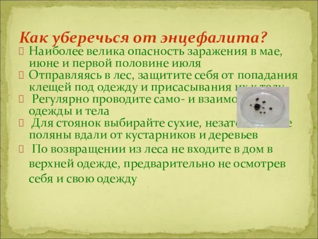 Наиболее велика опасность заражения в мае, июне и первой половине июля Отправляясь