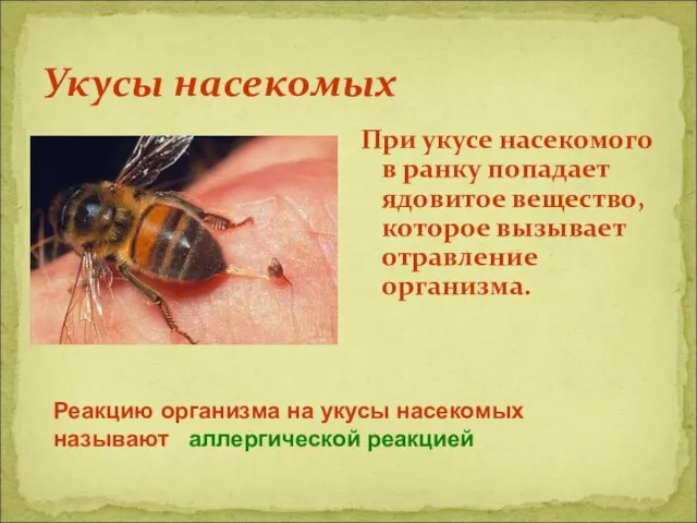 Укусы насекомых При укусе насекомого в ранку попадает ядовитое вещество, которое вызывает