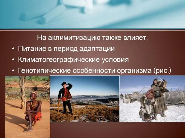 На аклимитизацию также влияет: Питание в период адаптации Климатогеографические условия Генотипические особенности организма (рис.)