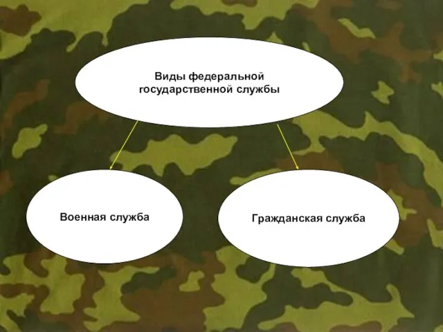 Виды федеральной государственной службы Военная служба Гражданская служба