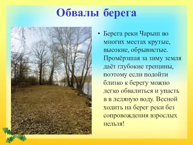 Обвалы берега Берега реки Чарыш во многих местах крутые, высокие, обрывистые. Промёрзшая