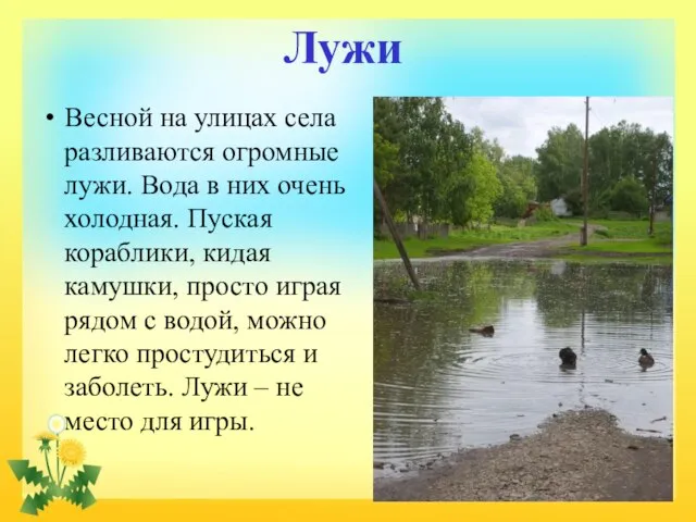 Лужи Весной на улицах села разливаются огромные лужи. Вода в них очень