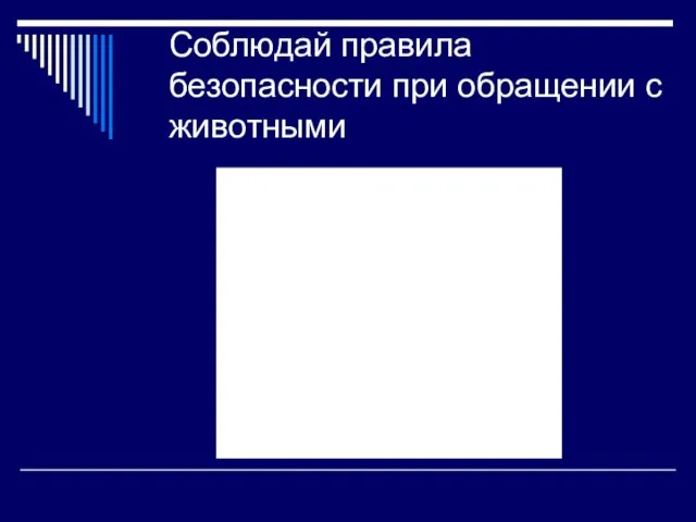 Соблюдай правила безопасности при обращении с животными