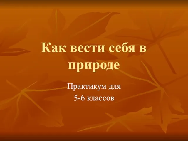 Презентация на темум Как вести себя в природе