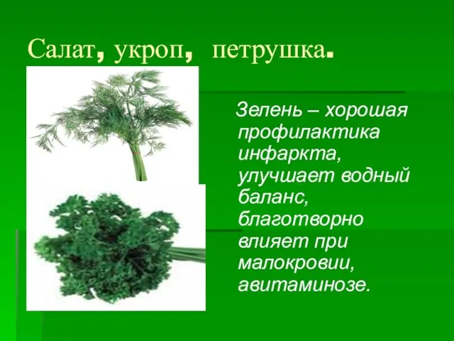 Салат, укроп, петрушка. Зелень – хорошая профилактика инфаркта, улучшает водный баланс, благотворно влияет при малокровии, авитаминозе.