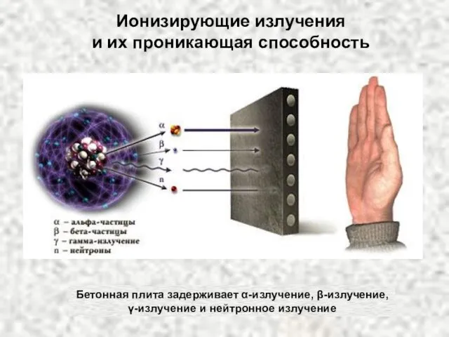 Бетонная плита задерживает α-излучение, β-излучение, γ-излучение и нейтронное излучение Ионизирующие излучения и их проникающая способность