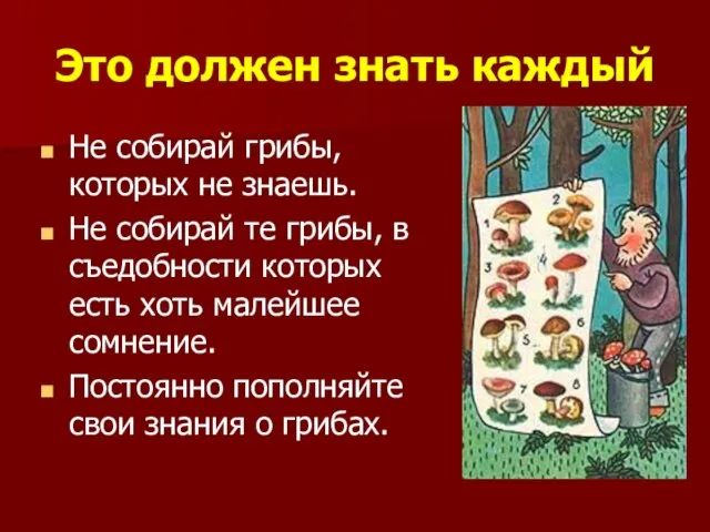 Это должен знать каждый Не собирай грибы, которых не знаешь. Не собирай