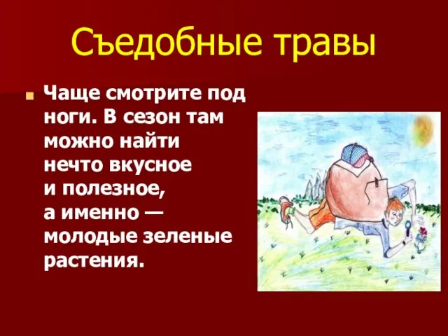 Съедобные травы Чаще смотрите под ноги. В сезон там можно найти нечто