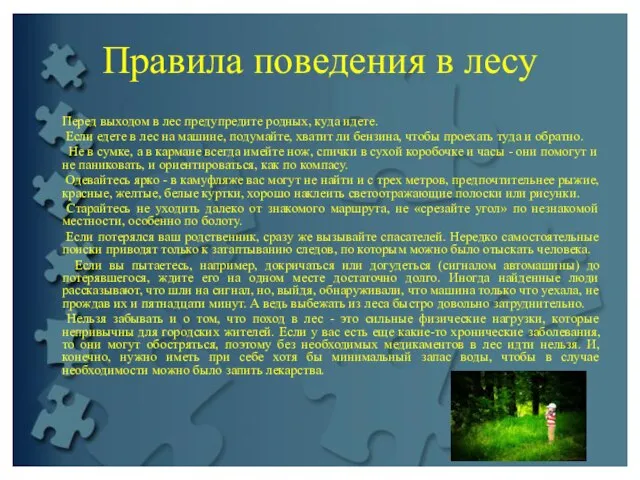 Правила поведения в лесу Перед выходом в лес предупредите родных, куда идете.