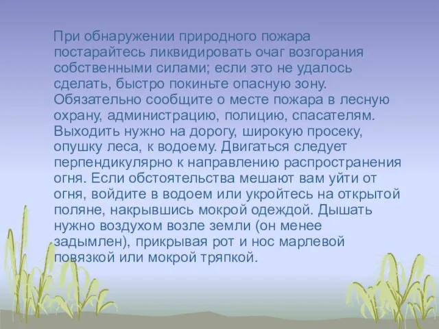 При обнаружении природного пожара постарайтесь ликвидировать очаг возгорания собственными силами; если это