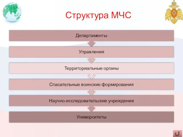 Структура МЧС