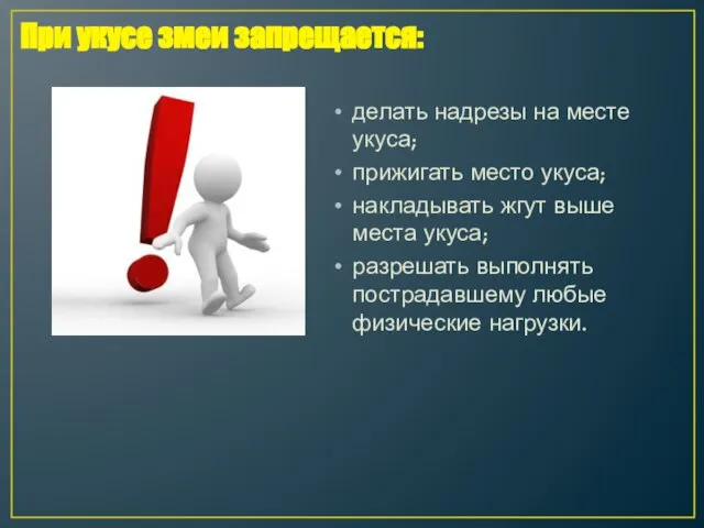 делать надрезы на месте укуса; прижигать место укуса; накладывать жгут выше места