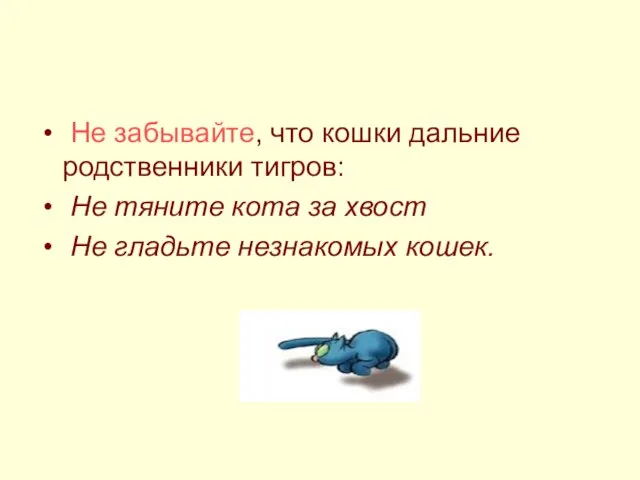 Не забывайте, что кошки дальние родственники тигров: Не тяните кота за хвост Не гладьте незнакомых кошек.