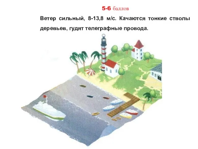 5-6 баллов Ветер сильный, 8-13,8 м/с. Качаются тонкие стволы деревьев, гудят телеграфные провода.