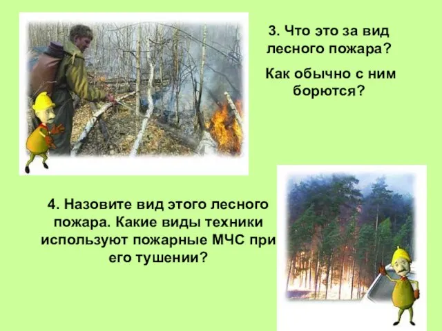 3. Что это за вид лесного пожара? Как обычно с ним борются?
