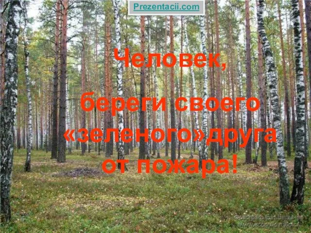 Человек, береги своего «зеленого»друга от пожара! Prezentacii.com