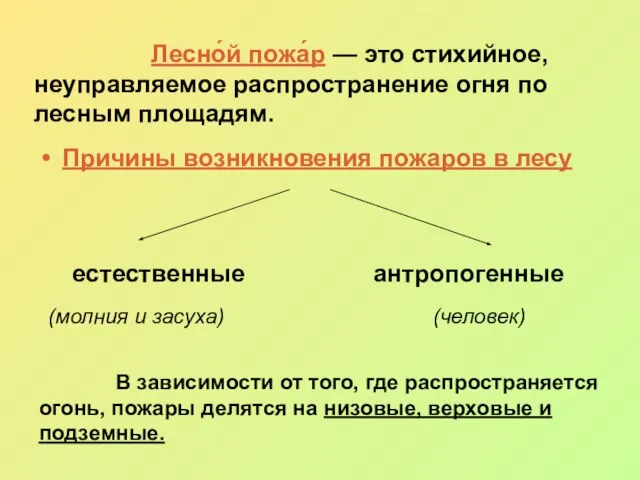 Лесно́й пожа́р — это стихийное, неуправляемое распространение огня по лесным площадям. Причины