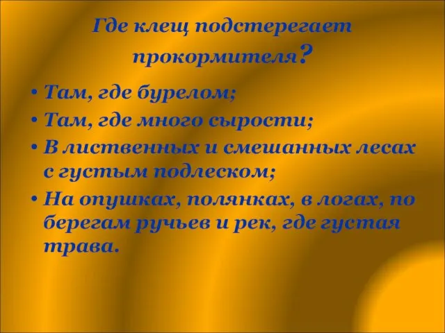 Где клещ подстерегает прокормителя? Там, где бурелом; Там, где много сырости; В