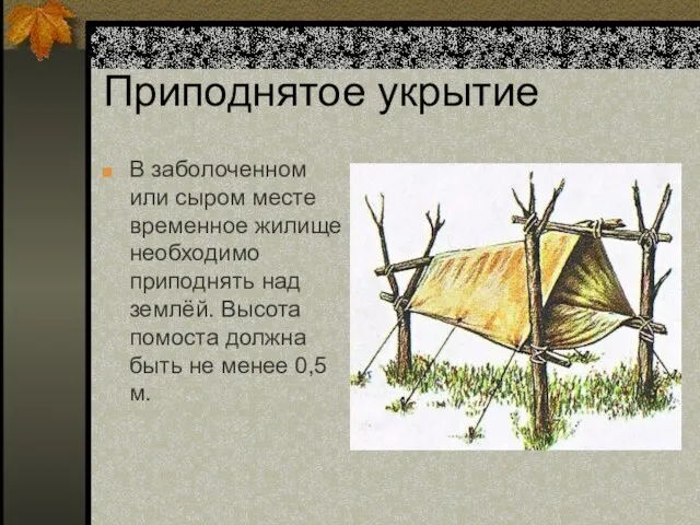 Приподнятое укрытие В заболоченном или сыром месте временное жилище необходимо приподнять над