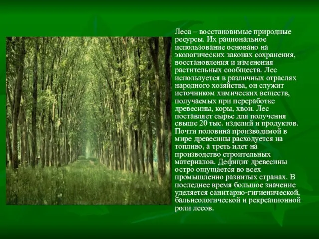 Леса – восстановимые природные ресурсы. Их рациональное использование основано на экологических законах