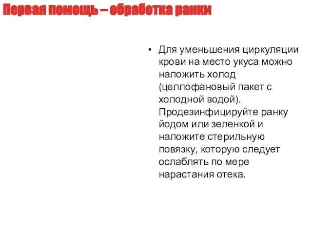 Для уменьшения циркуляции крови на место укуса можно наложить холод (целлофановый пакет