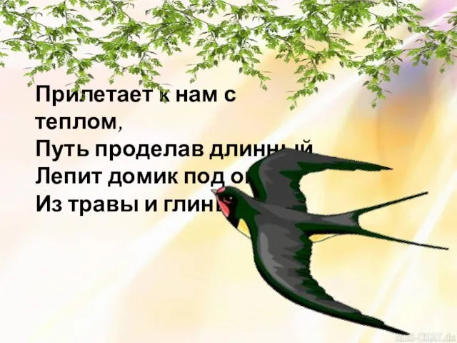 Прилетает к нам с теплом, Путь проделав длинный, Лепит домик под окном Из травы и глины.