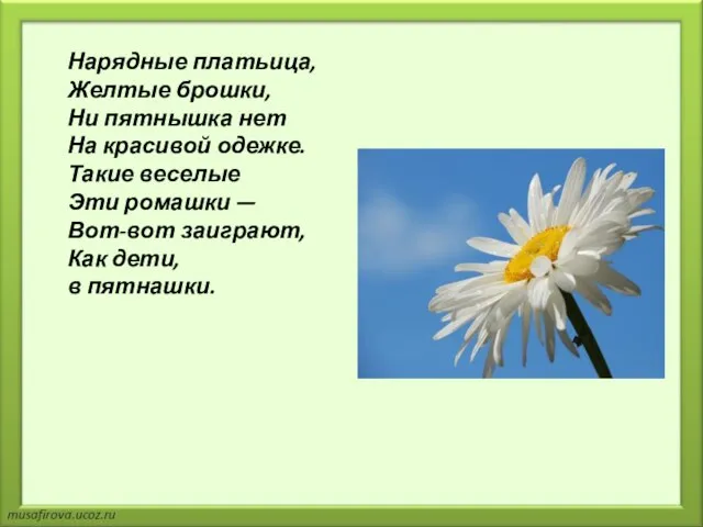 Нарядные платьица, Желтые брошки, Ни пятнышка нет На красивой одежке. Такие веселые