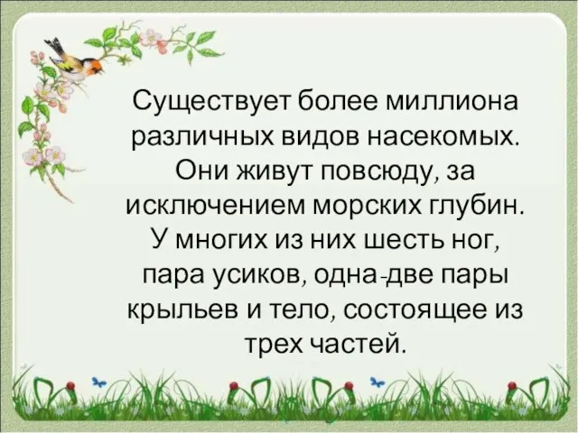 Существует более миллиона различных видов насекомых. Они живут повсюду, за исключением морских