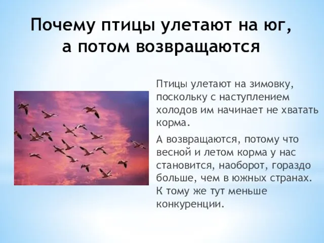 Почему птицы улетают на юг, а потом возвращаются Птицы улетают на зимовку,