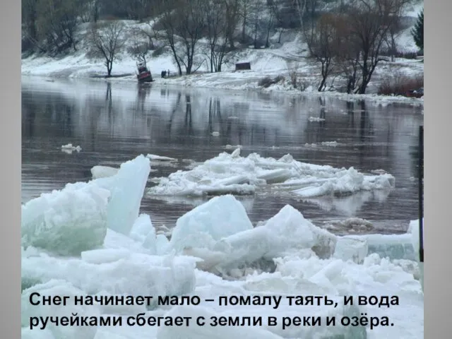 Снег начинает мало – помалу таять, и вода ручейками сбегает с земли в реки и озёра.