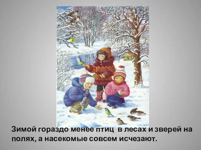 Зимой гораздо менее птиц в лесах и зверей на полях, а насекомые совсем исчезают.