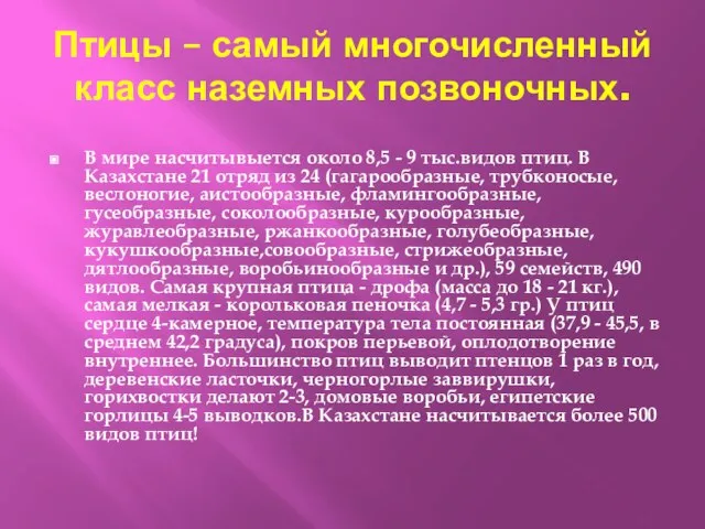 Птицы – самый многочисленный класс наземных позвоночных. В мире насчитывыется около 8,5