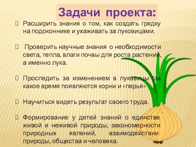 Задачи проекта: Расширить знания о том, как создать грядку на подоконнике и