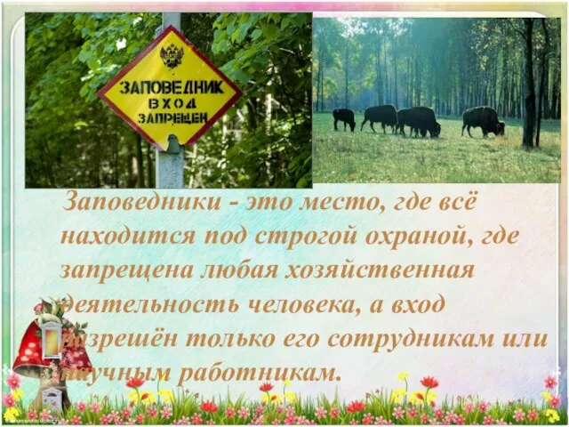 Заповедники - это место, где всё находится под строгой охраной, где запрещена