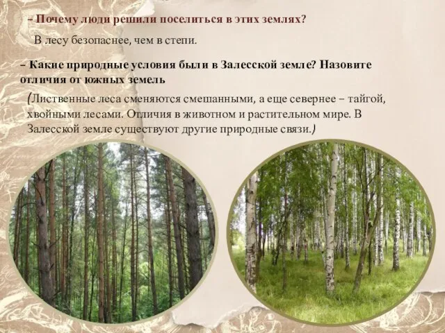 – Почему люди решили поселиться в этих землях? В лесу безопаснее, чем