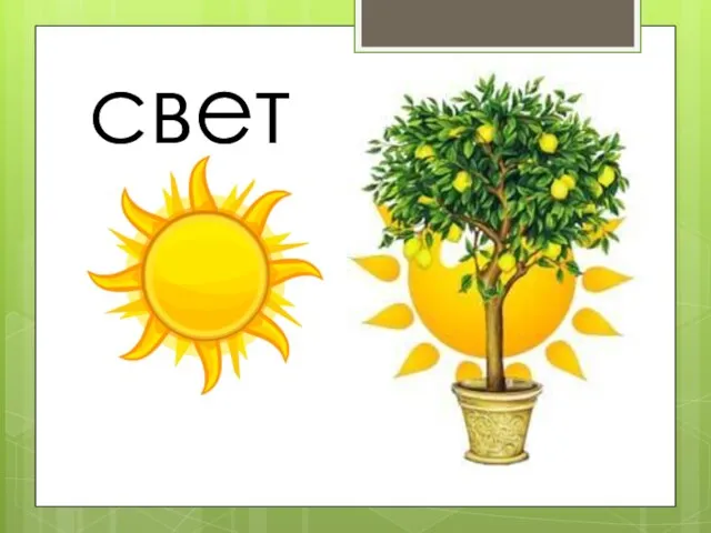 свет